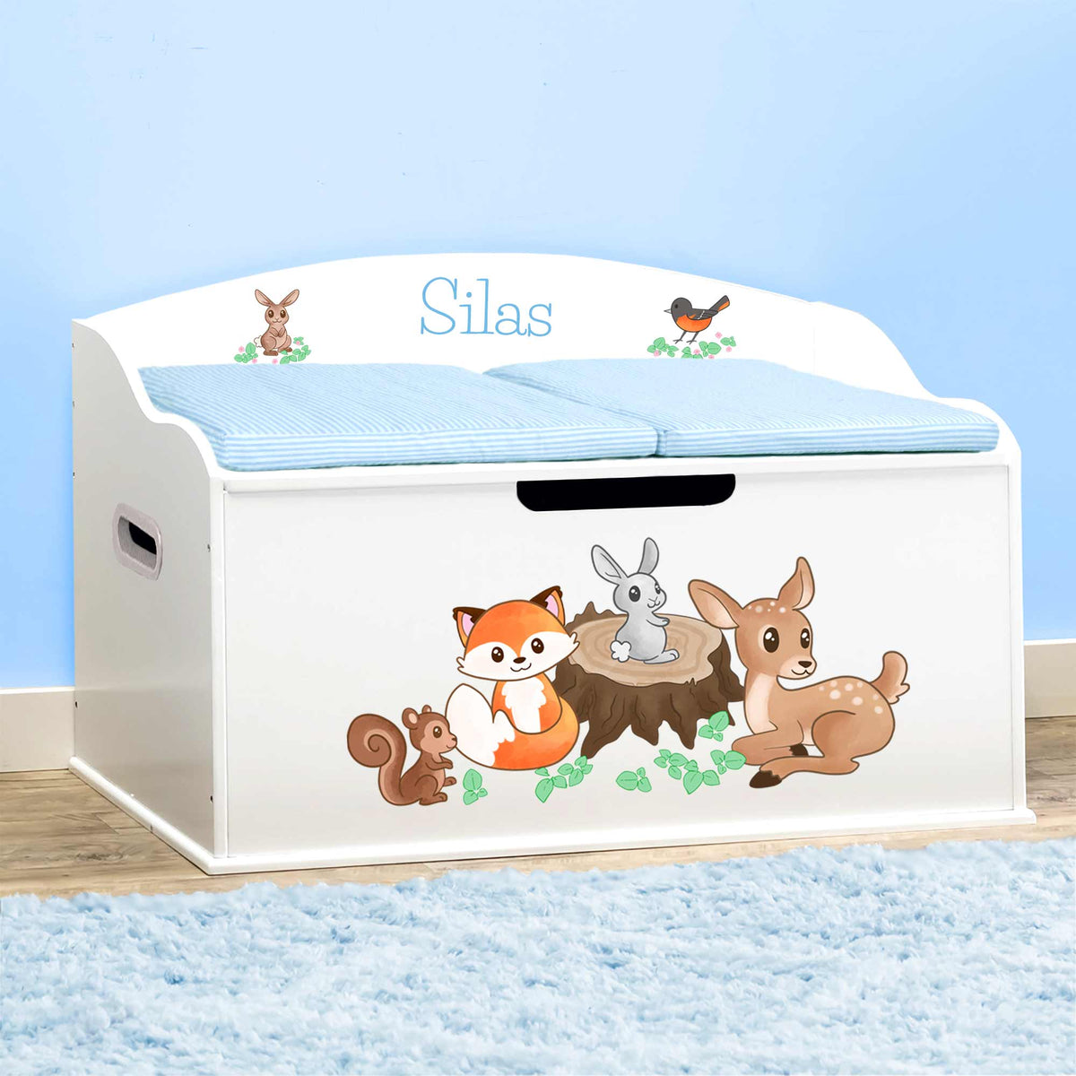 Personalized Toy Bo Bedroom