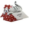 Personalized Cat in a Gift Box Pet Christmas Ornament - Grey Stripe